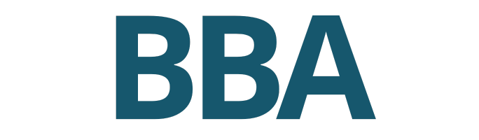 Struktura BBA - VŠEM